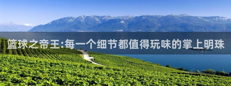 辉达注册