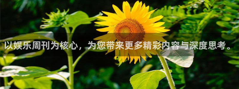 辉达娱乐注册地址