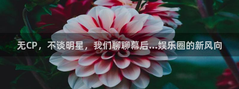 辉达注册