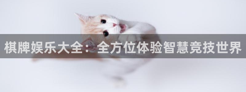 辉达娱乐注册