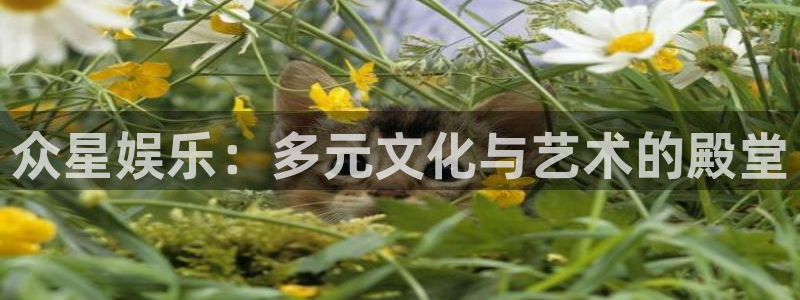 辉达娱乐